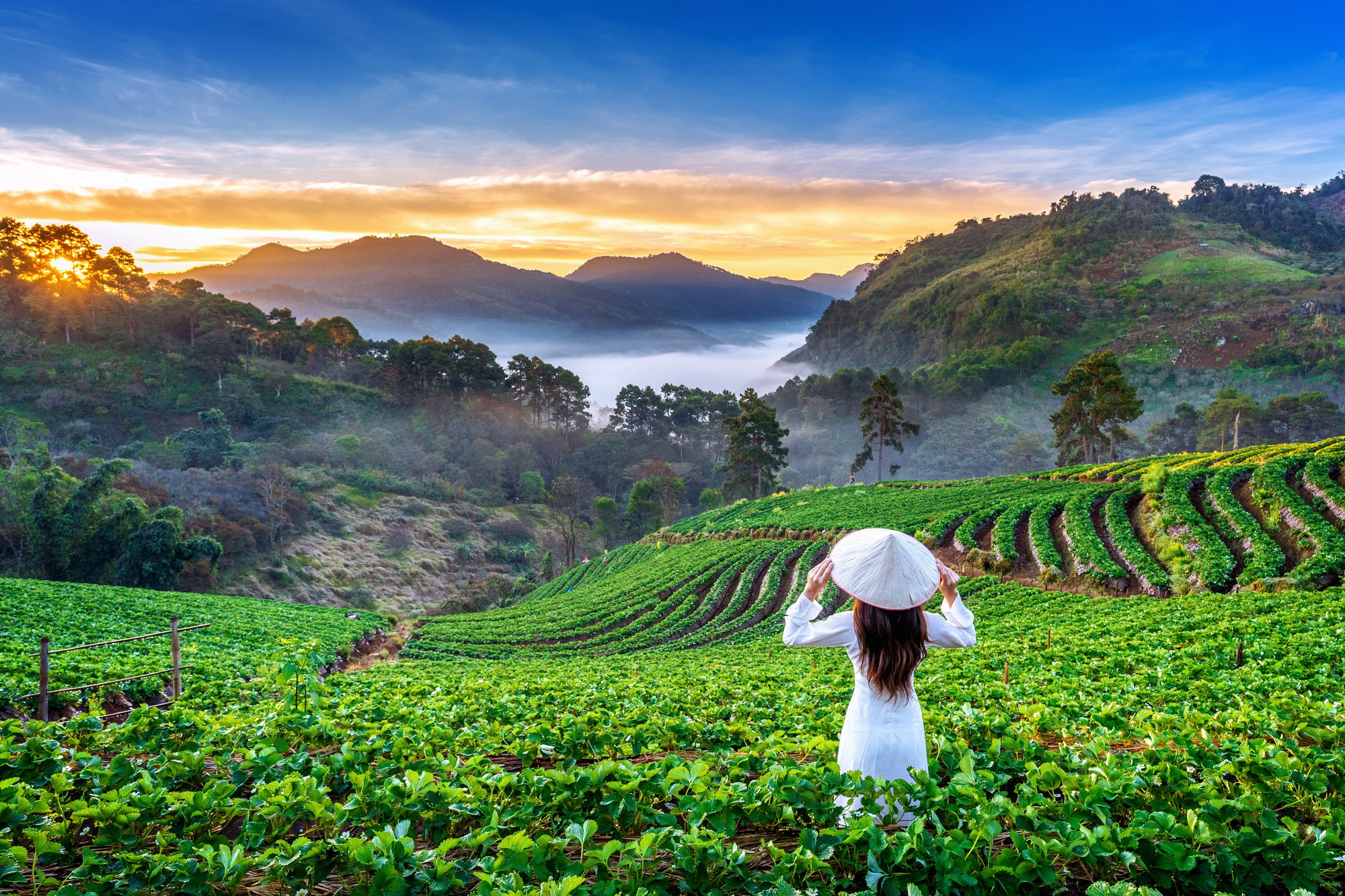 Darjeeling Tour Packages